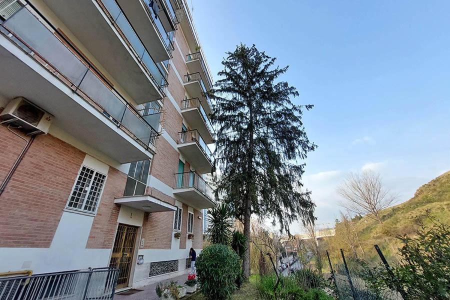 Готель La Casa Di Flavia Рим Екстер'єр фото